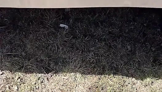 Pee on the Ground Near Truck Wheel