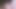 www