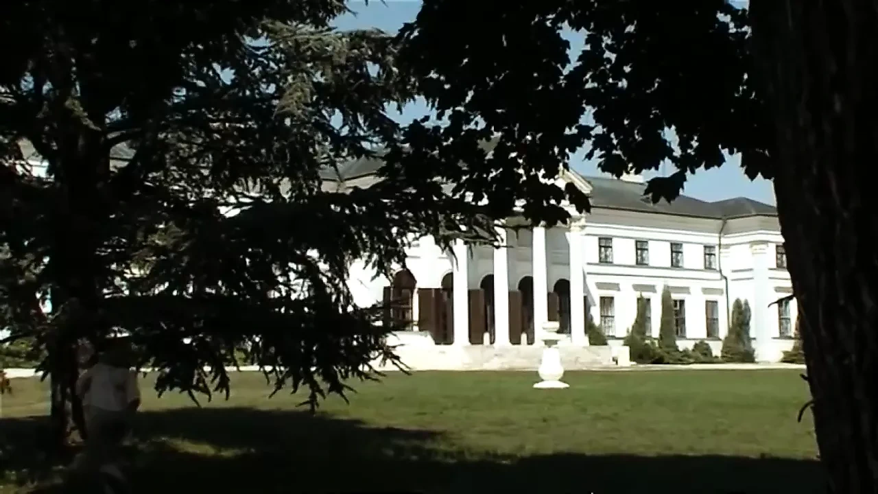 完整的色情电影 50