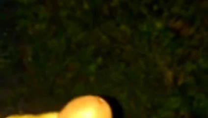 açık twinks