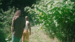 Pratinjau video