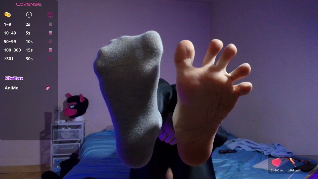 Puppy keeps teasing you with his socks and bare paws