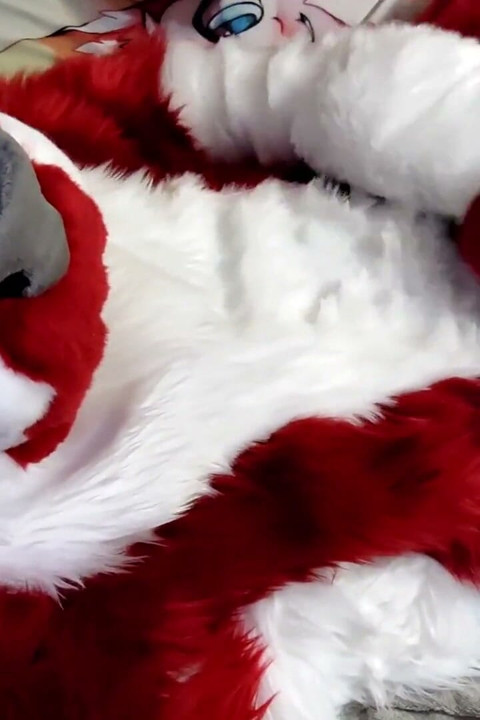 Jerking off and Showing Footpaws in Full-body Fursuit