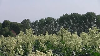 Milf, Cougar & Granny empire