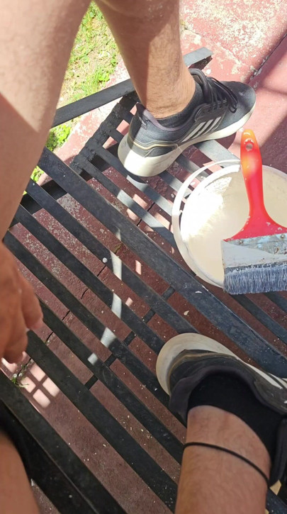 Painted the fence and my penis came out of my shorts