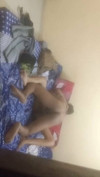 Pregled videozapisa