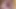 Büyük ayı başka bir Xbiz Miami otelinde piggy rose misyonerini sikiyor