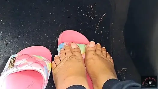 Solesday N All Toesday HD (720)