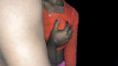 Pregled videozapisa