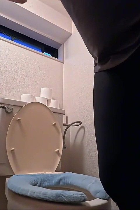 Daily Life of a Japanese Wife - Toilet