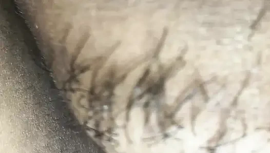 Bengalische Krawattenlecken