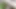 Cute Femboy taking cocumber I'm his vergin ass first time and make cum