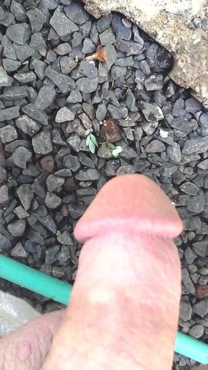 Shaved cock displayed outside for all that love my cock. thx
