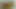 Sexy teen in yellow pantyhose gets fucked