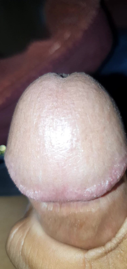 nomi dick