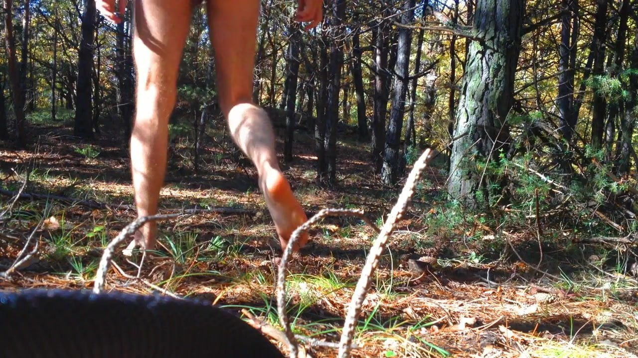Disappearing in the forest