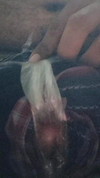 Pregled videozapisa