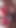 Sky pierce ve maisey monroe: sarışın snowbunnies sürpriz xmas büyük zenci yarağına tapıyor | Klip 1