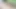 Shaved Cock masturbation