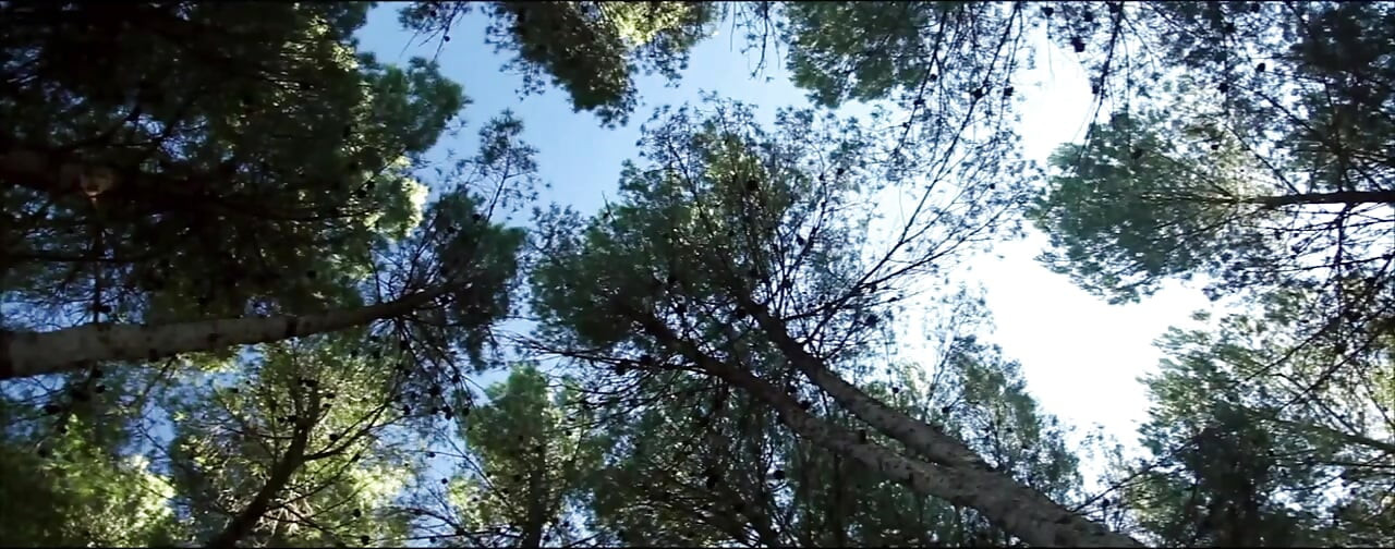 Superpepito: Return Of The Fuckfighter - πλήρης ταινία πορνό