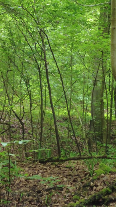 New Outdoor Spot - Almost got caught! | Clip 1