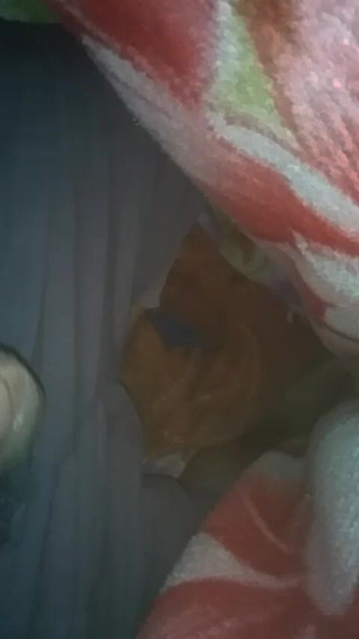 Moj penis istražuje visokokvalitetnu spermu