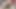 弱虫寝取られ夫は妻が彼女の雄牛と一緒にいる間遊んでいます