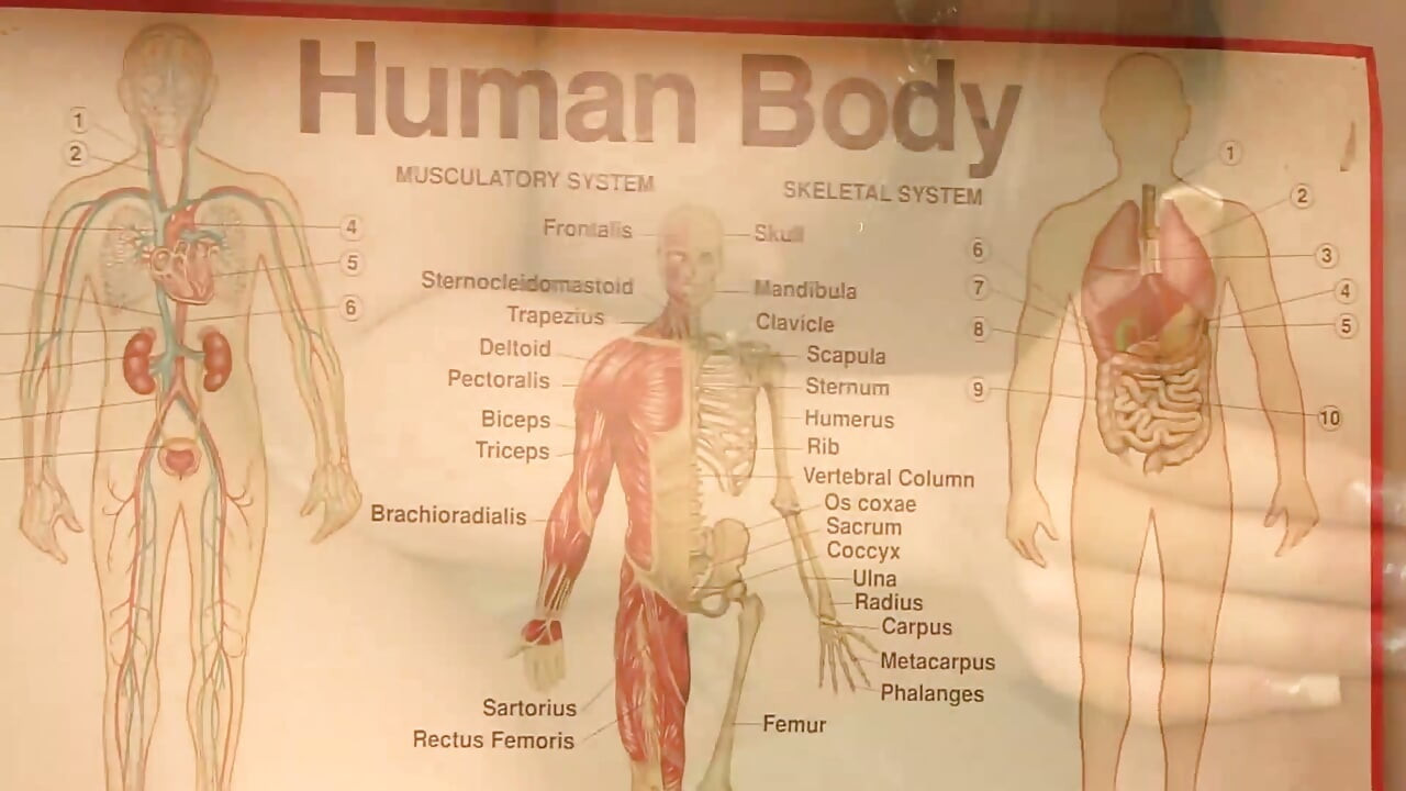 O mamă sexy frumoasă este futută de doctor pe targă