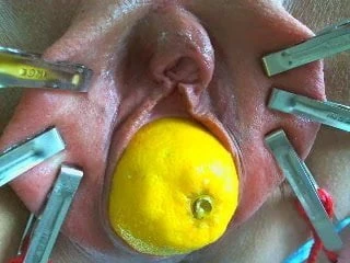 Fruit