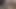 الأرملة اليائسة تبحث عن الراحة من أفضل صديق لها