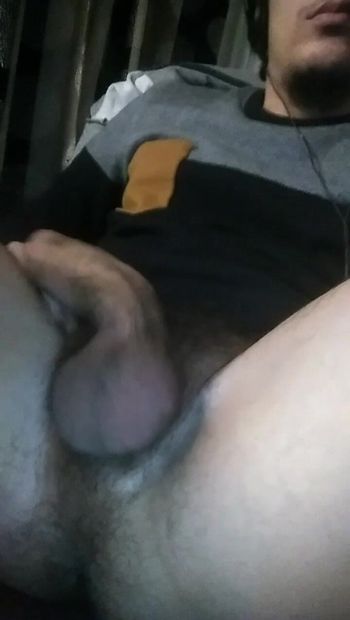 My soft hairy dick, want to taste it male me hard ?