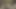 私は私の義理の叔父の巨大なペニスに乗って、私はそれを愛していました