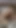 Powerful moment from "Overexcited Indian milf Eve Laina masturbates and cum really hard."