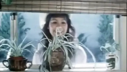 Klasik porno dvd'leri: hafta sonu kovboy kız: bölüm 2