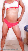 Pregled videozapisa