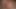 MY COCK CAN'T HOLD IT ANYMORE!!! my stepmom body is so HOT. I WANT TO FUCK HER - 3D PORN ANIMATION