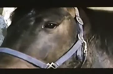 Perverse Chatelaine