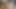 Twink masturbation in a front of camera