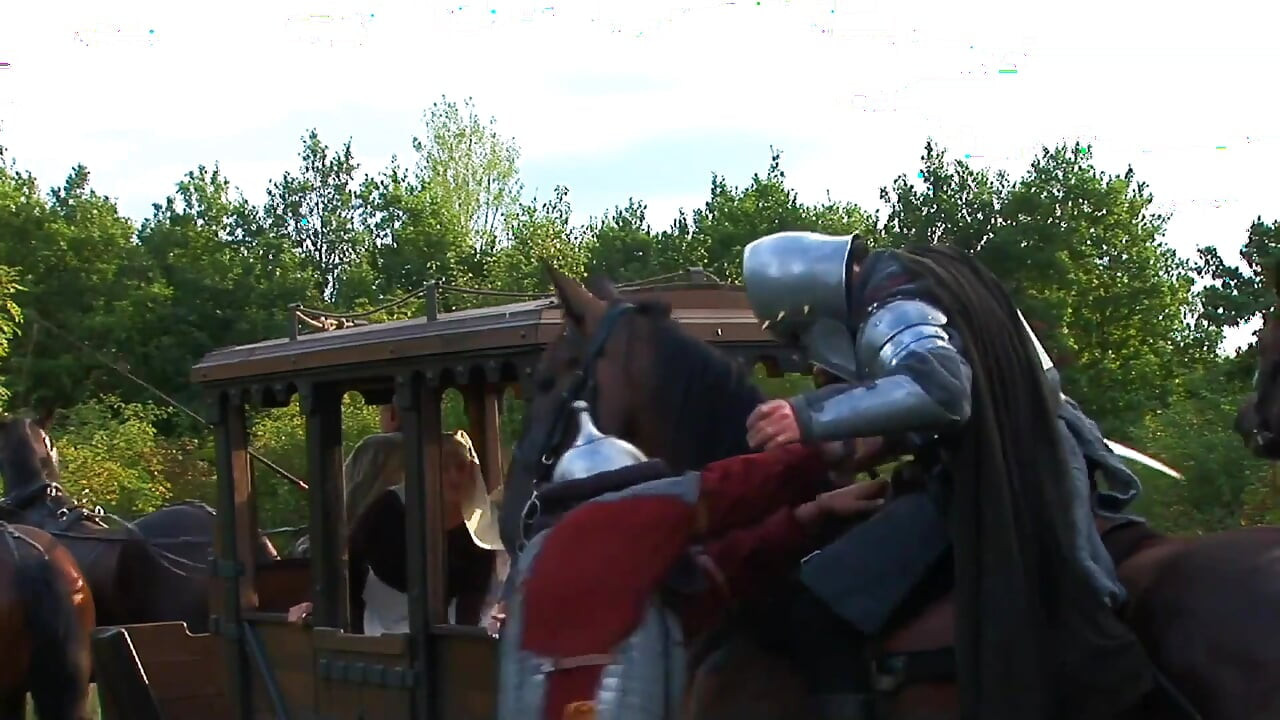 Pengongkek kostum - 3some Knights