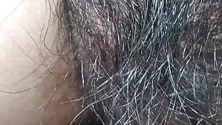Tampilan jarak dekat dari memek berbulu dan lembut