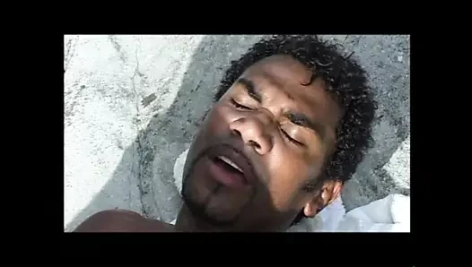 Asha Bliss Collection