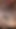 Viktor669チンポで遊ぶエッチなラテン系クマ1