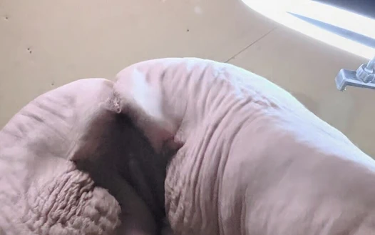 Theres 1001 Ways to Get Laid