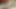 食べてセックスすること