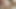 ドリップドロップの舞台裏!!サイロ・サイレンとマットがシーンをやった後のセックス!