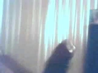 masturbating till i cum