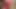 Santa Claus fucking on Christmas day when he was suppose to be sharing Gifts(Raw)