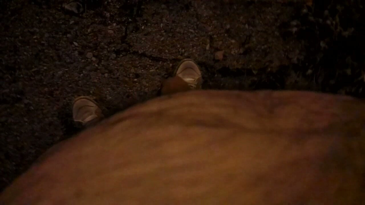 Naked near the road at night