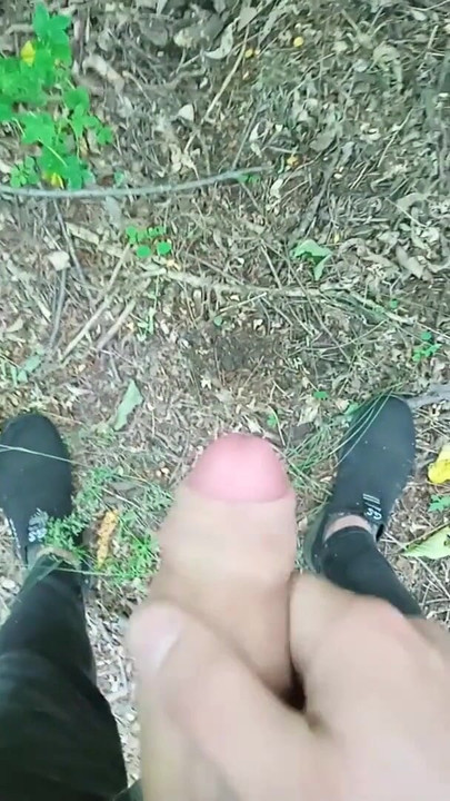 Key moment from "wank cruise. jerking off quickly in the woods until mom sees"