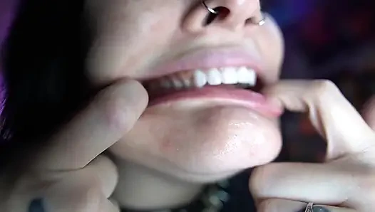 Aktualisierte Mund-Tour